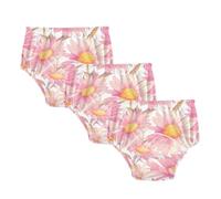 Potty Training Undies Cartoon Coneflower Peach Gold Under Garment