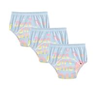 Potty Training Undies Girl Who Loves Dino Underwear Briefs