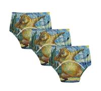 Potty Training Undies Van Gogh's Starry Night Capybaras Under Garment