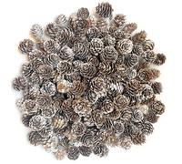 POTWPOT 100Pcs Christmas Snow Pine Cones, Christmas Pinecones Natural Pine Cones White Pine Cones Small Pinecones for Crafts Christmas Party Ornament DIY Home Winter Decoration(2-3cm)