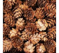 POTWPOT Christmas Pine Cones - 100 Natural Rustic Dried Pine Cones for Wreath Decorations, Christmas Party Ornaments, DIY Crafts & Home Decoration (2-3cm)