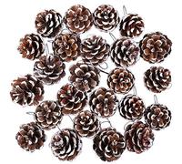 POTWPOT Christmas Pine Cones, 25pcs Christmas Natural Pine Cones Rustic Snow Pine Cones with String Pine Cone Pendant Winter Holiday Hanging Ornament for Xmas Tree Gift Tag Party Decoration (3-4cm)