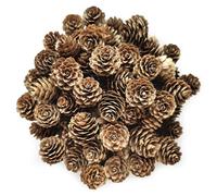 POTWPOT Pine Cones 3.5cm 50pcs Christmas Decorations Natural Mini Rustic for Xmas Party Ornament DIY Crafts Home Dec