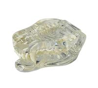 Poukeou Transparent Teeth Anatomical Model Dental Animals Oral Tooth Jaw for Veterinary Educational Tool (Dog) Easy to Use
