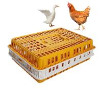 Poultry Carrier Crate - Thick Plastic Chicken Transport for Birds, Ducks, and Geese - Durable and Spacious Crate for Safe Transportation
