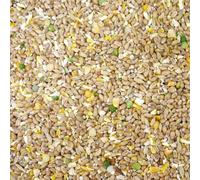 Poultry Corn 20kg - Premium Quality - Rich in Vitamins & Calcium | Great Chicken Food