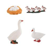 Poultry Growth Figure Set - PVC Duck Evolution Learning Models, Educational Science Displays Collection | Nature Study Decoration for Classroom Garden Terrace Aquarium Bookshelf Display Areas