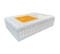 Poultry Transport Crate for Chickens and Small Animals, Durable Plastic Animal Carrier with Secure Locking, Portable Pet Cage for Rabbits, Ducks, Pigeons- White Height 19cm