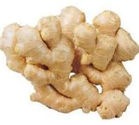 Pound Veg Fresh Ginger Root 500g | Premium Raw Ginger for Cooking, Tea & Juicing | Hand-Selected & Aromatic