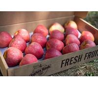 Pound Veg Orchard Fresh Gala Apple Box 36-44 Apples (depends on apple size)