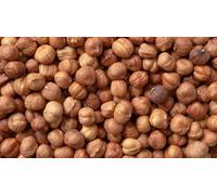 Pound Veg Premium Natural Raw Hazelnut, Whole Hazelnut, Non GMO, Unroasted, Unsalted, No Additives, No Preservatives, Good Source of Fibre and Protein, Perfect for Snacking (500 Gms)