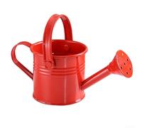 Pour with Ease Long Mouth Design Metal Watering Can, Perfect for Any Plant (Red)