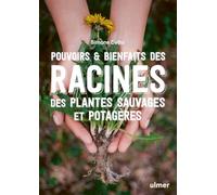 Pouvoirs & bienfaits des racines des plantes sauvages et potagères: Pommades, teintures, infusions, vins, fumigations, recettes gourmandes