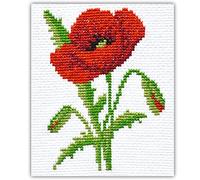 Povitrulya Red Poppy - Counted Cross Stitch kit for Hand Embroidery - DIY Easy Flower Set for Adults