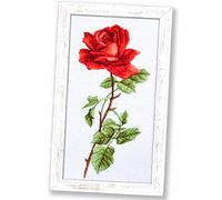 Povitrulya Red Rose Counted Cross Stitch Kit - Floral Embroidery Set for Adults, 13 Colours, 16 Count Aida and Pre-Sorted Cotton Floss, 15.5 x 30 cm