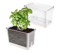 Povxlum Self Watering Plant Pots for Outdoor Indoor Plants 2 Pack Rectangular Clear Plant Pots with Drainage Holes for Spider Plant African Violet, Plant Growth Observations Plant Box for Kids