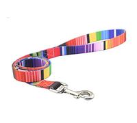 Powboro Personalized Strong Dog Lead, 120 cm 4ft Traction Rope, Soft Durable Pet Dog leash for Small Medium Large Breed dogs (7 Colour Stripe) M