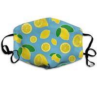 Powell Baden - Tristeza on Guitar [VINYL]