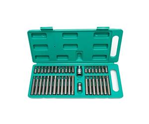 Power bit Set 40t pcs with Extra Long bits, bit Holder 1/2" and 3/8" by Wiesemann 1893 I for Internal Torx Screws T20 - T55 I for Hexagon Socket Screws 4mm - 12mm I for XZN Screws I 80034