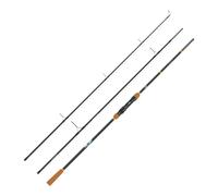 Power cast Autograph lightweight carbon CARP rod (10ft 3piece)