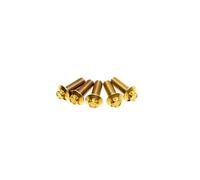 POWER JAMES Stainless Steel Gold 5 pcs 3/8"-16-1.0" Rear Brake Rotors Mounting Bolts Hardware Fits for Harley Davidson Softail Dyna Touring Sporster (Gold)