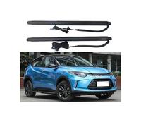 Power Liftgate Electric Tailgate For EVERUS VE-1 2018+ Refitted Intelligent Tail Gate Lift Actuator Power Trunk Lifting Struts Electric Tailgate Gas Strut(No Kick Senor)