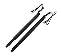 Power Liftgate Support Gas Spring 2piece Power Hatch Lift Support Electric Rear Gas Spring Boot Flap Lid Strut For 2020 2021 2022 2023 Toyota Highlander 68910-0E070