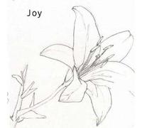 Power of Praise - Joy