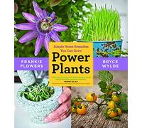 Power Plants: Simple Home Remedies You Can Grow