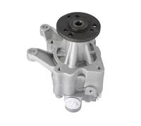 Power Steering Pump Compatible for BMW X5 E53 2000 2001 2002 2003 18600821-101 18600821-102 18600821-103 18600821-104 21-5397 32411096434 Automotive System Pumps