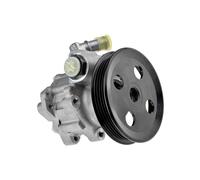 Power steering pump hydraulic with V-ribbed belt pulley SPW-CT-030 NTY for FIAT