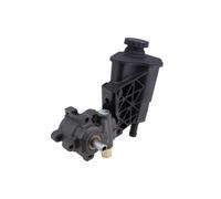 Power steering pump hydraulic SPW-CH-060 NTY for DODGE RAM 1500 Crew Cab Pickup
