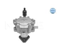 Steering System Hydraulic Pump MEYLE Fits DACIA Logan II 12- 491101451R