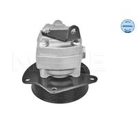 MEYLE 53-14 631 0004 Power steering pump