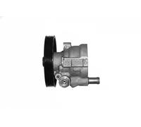 Power steering pump hydraulic 7074002 SASIC for OPEL RENAULT