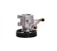 Power steering pump hydraulic with belt pulley 10SKV013 ESEN SKV for PEUGEOT