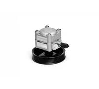 Power steering pump hydraulic with belt pulley 10SKV027 ESEN SKV for VOLVO S70