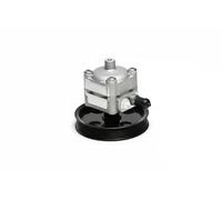 Power steering pump hydraulic with belt pulley 10SKV028 ESEN SKV for VOLVO S80 I