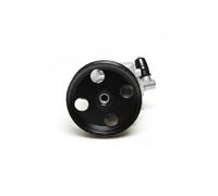 Power steering pump hydraulic with belt pulley 10SKV039 ESEN SKV