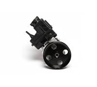 Power steering pump hydraulic with belt pulley 10SKV107 ESEN SKV