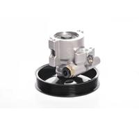 Power steering pump hydraulic with belt pulley 10SKV143 ESEN SKV for DAEWOO
