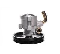 Power steering pump hydraulic with belt pulley 10SKV155 ESEN SKV for CITROËN