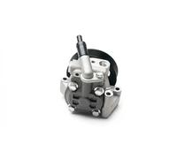 Power steering pump hydraulic with belt pulley 10SKV215 ESEN SKV for FORD S-MAX