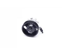Power steering pump hydraulic with belt pulley 10SKV275 ESEN SKV for NISSAN