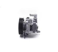 Power steering pump hydraulic with belt pulley 10SKV294 ESEN SKV for LAND ROVER
