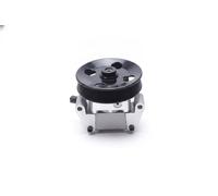 Power steering pump hydraulic with belt pulley 10SKV306 ESEN SKV for FORD