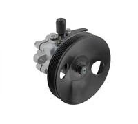 Power steering pump hydraulic with multi-belt pulley SPW-HY-506 NTY for HYUNDAI