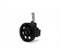 Power steering pump hydraulic with V-ribbed belt pulley PP095 KAMOKA for FORD
