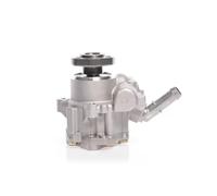 Power steering pump hydraulic without belt pulley 10SKV165 ESEN SKV for VW FORD