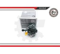 Power steering pump hydraulic without belt pulley 10SKV191 ESEN SKV